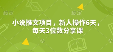 小说推文项目，新人操作6天，每天3位数分享课-智宝网创