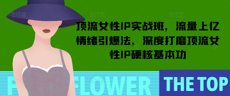 顶流女性IP实战班，流量上亿情绪引爆法，深度打磨顶流女性IP硬核基本功-智宝网创
