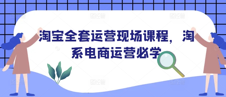 淘宝全套运营现场课程，淘系电商运营必学-智宝网创