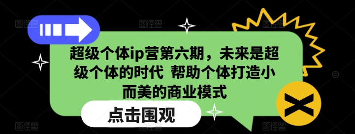 超级个体ip营第六期，未来是超级个体的时代  帮助个体打造小而美的商业模式-智宝网创
