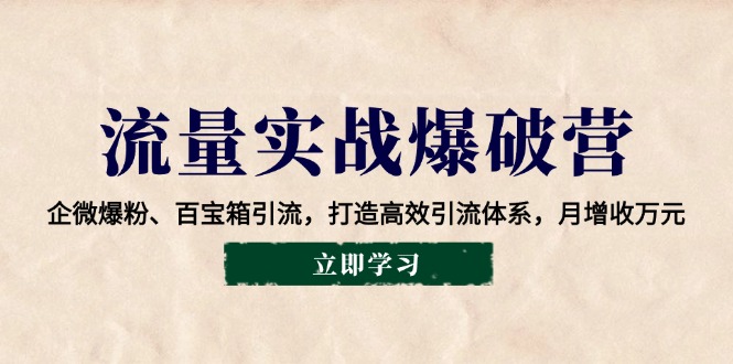 流量实战爆破营：企微爆粉、百宝箱引流，打造高效引流体系，月增收万元-智宝网创
