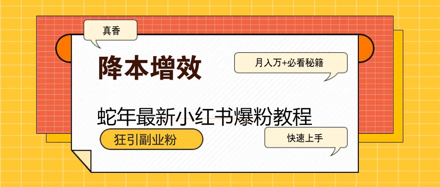 蛇年最新小红书爆粉教程，狂引副业粉，月入万+必看-智宝网创