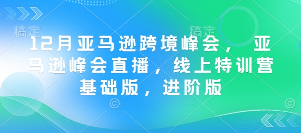 12月亚马逊跨境峰会， 亚马逊峰会直播，线上特训营基础版，进阶版-智宝网创