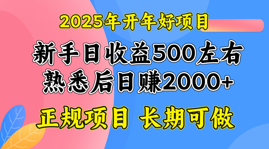 2025开年好项目，单号日收益2000左右-智宝网创
