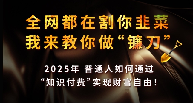 全网都在割你韭菜，我来教你做镰刀，2025年普通人如何通过 知识付费 实现财F自由【揭秘】-智宝网创