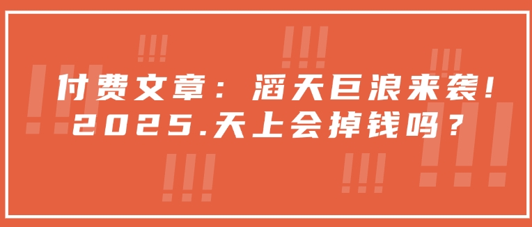 付费文章：滔天巨浪来袭！2025天上会掉钱吗？-智宝网创
