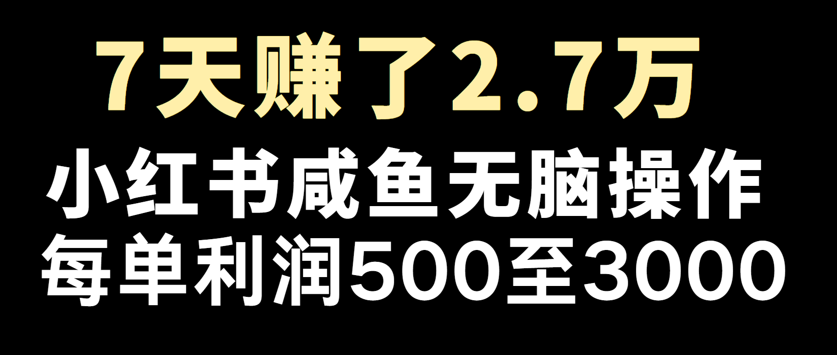 全网首发，7天赚了2.6万，2025利润超级高！-智宝网创