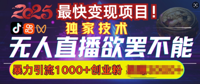 欲罢不能的无人直播引流，超暴力日引流1000+高质量精准创业粉-智宝网创