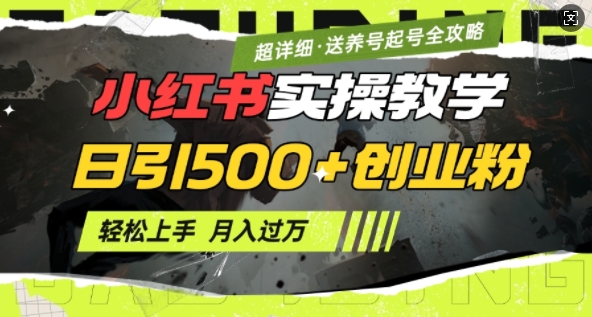 2月小红书最新日引500+创业粉实操教学【超详细】小白轻松上手，月入1W+，附小红书养号起号SOP-智宝网创