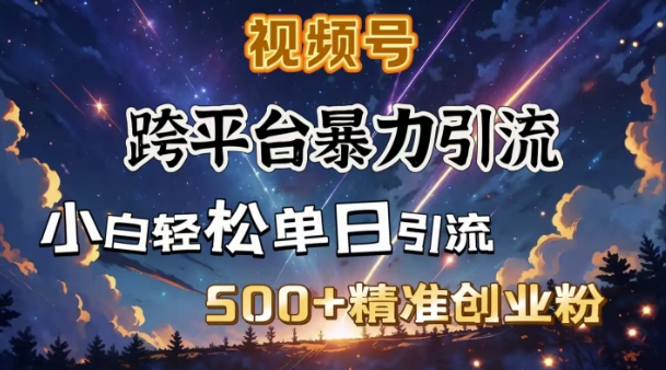 跨平台暴力引流，私域完美闭环，日引500+精准创业粉-智宝网创