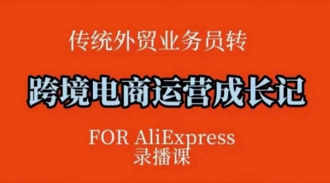 跨境电商速卖通运营课，​运营方法论+后台实操，逻辑清晰-智宝网创