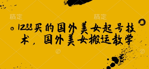 1288买的国外美女起号技术，国外美女搬运教学-智宝网创