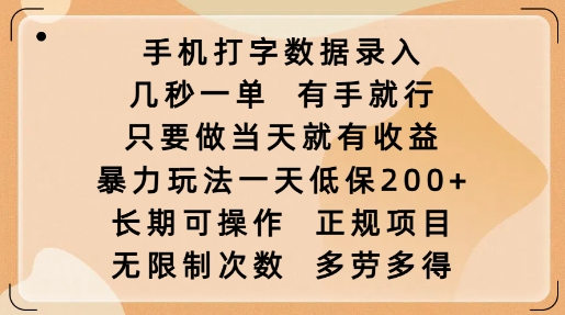 手机打字数据录入，几秒一单，有手就行，只要做当天就有收益，暴力玩法一天低保2张-智宝网创