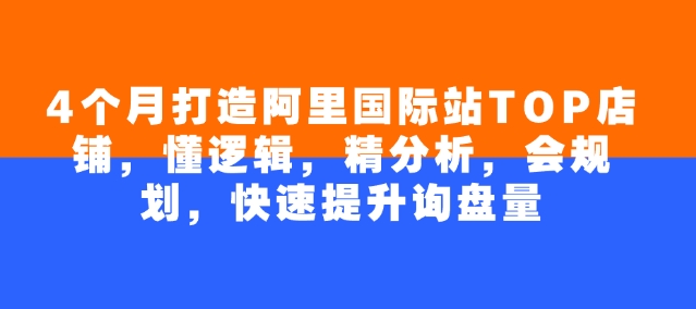 4个月打造阿里国际站TOP店铺，懂逻辑，精分析，会规划，快速提升询盘量-智宝网创