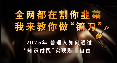 知识付费如何做到月入过W+，2025我来教你做“镰刀”【揭秘】-智宝网创