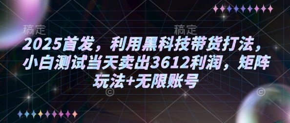 2025首发，利用黑科技带货打法，小白测试当天卖出3612利润，矩阵玩法+无限账号【揭秘】-智宝网创