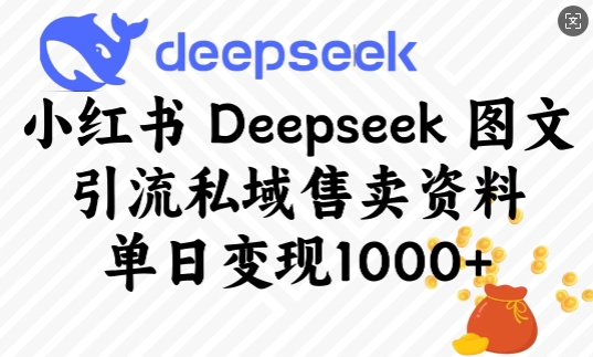 小红书Deepseek图文引流私域售卖资料，单日变现多张-智宝网创
