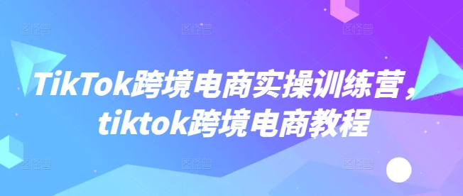 .TikTok跨境电商实操训练营，tiktok跨境电商教程-智宝网创