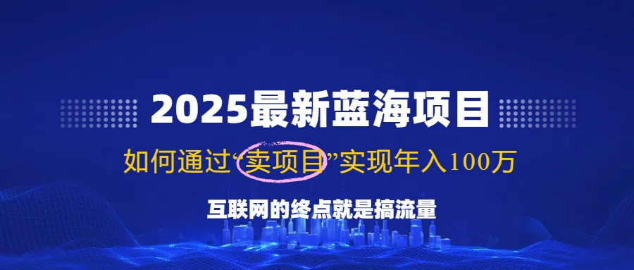 2025最新蓝海项目，零门槛轻松复制，月入10万+，新手也能操作！-智宝网创
