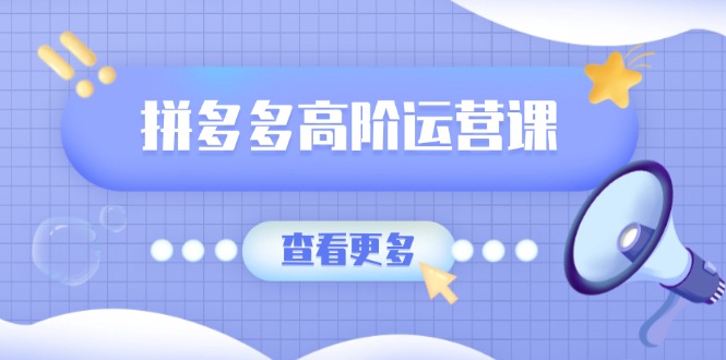 .拼多多高阶运营课：极致群爆款玩法，轻付费无尽复制，打造单品爆款之路-智宝网创