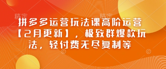 拼多多运营玩法课高阶运营【2月更新】，极致群爆款玩法，轻付费无尽复制等-智宝网创