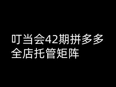 叮当会拼多多打爆班原创高阶技术第42期，拼多多全店托管矩阵-智宝网创