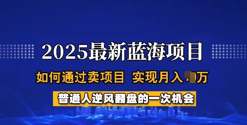 2025蓝海项目，普通人如何通过卖项目，实现月入过W，全过程【揭秘】-智宝网创