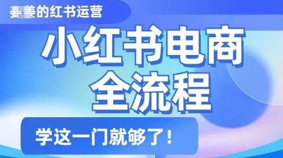 .小红书电商全流程，精简易懂，从入门到精通，学这一门就够了-智宝网创