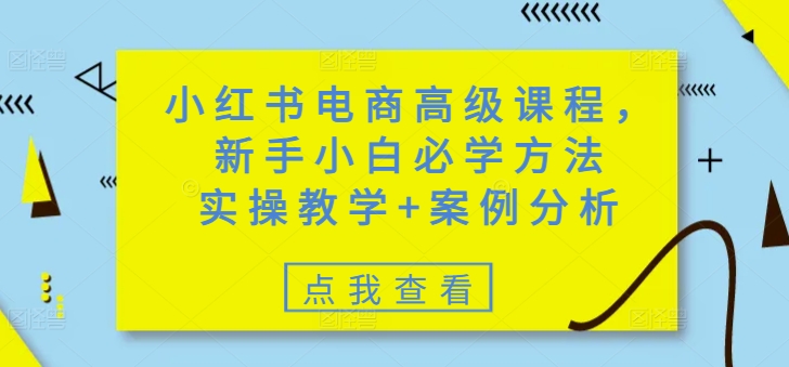 .小红书电商高级课程，新手小白必学方法，实操教学+案例分析-智宝网创