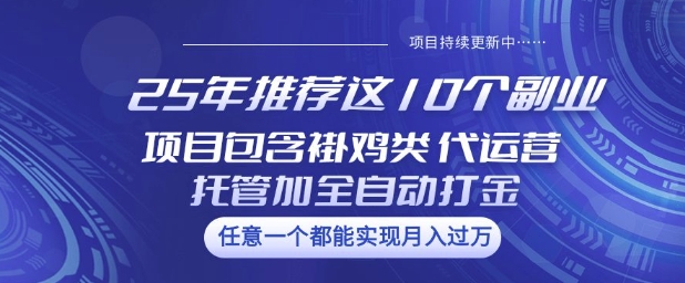 25年推荐这10个副业项目包含褂鸡类、代运营托管类、全自动打金类【揭秘】-智宝网创