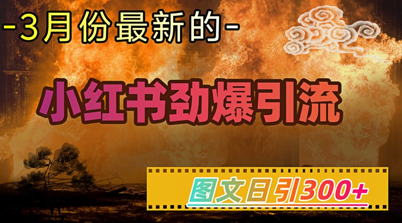 小红书超劲爆引流手段，图文日引300+轻松变现1W-智宝网创