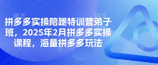 拼多多实操陪跑特训营弟子班，2025年2月拼多多实操课程，海量拼多多玩法-智宝网创
