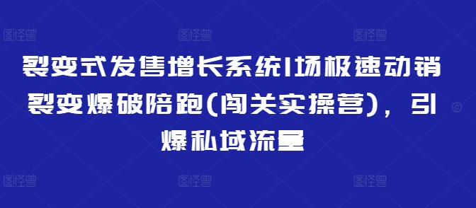 裂变式发售增长系统1场极速动销裂变爆破陪跑(闯关实操营)，引爆私域流量-智宝网创