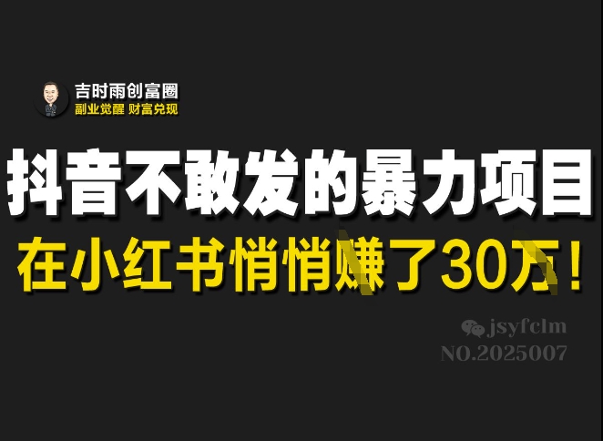 抖音不敢发的暴利项目，在小红书悄悄挣了30W-智宝网创