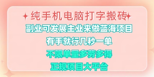 .纯手机电脑打字搬砖，有手就行，几秒一单，多劳多得，正规项目大平台【揭秘】-智宝网创