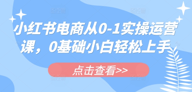 小红书电商从0-1实操运营课，0基础小白轻松上手-智宝网创