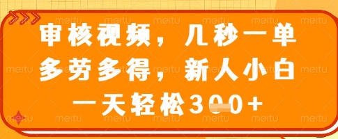 .审核视频，几秒一单，多劳多得，新人小白一天轻松3张【揭秘】-智宝网创