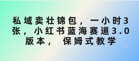 私域卖壮锦包，一小时3张，小红书蓝海赛道3.0版本， 保姆式教学-智宝网创