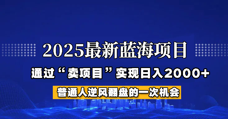 2025年蓝海项目，如何通过“网创项目”日入2000+-智宝网创