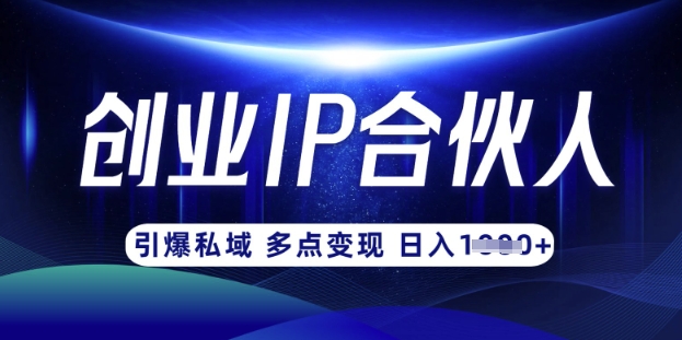 云帆·创业ip合伙人打造3.0，从0到1教你做网创，实现月入过W-智宝网创