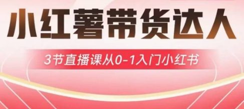 小红薯达人带货启航计划，3节直播课从0-1入门小红书-智宝网创