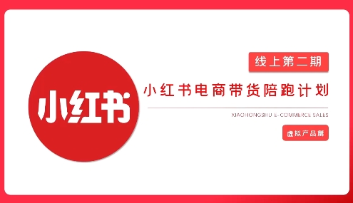 2025小红书虚拟电商实战课，从0到1打造无货源店铺，AI+爆款笔记轻松变现-智宝网创