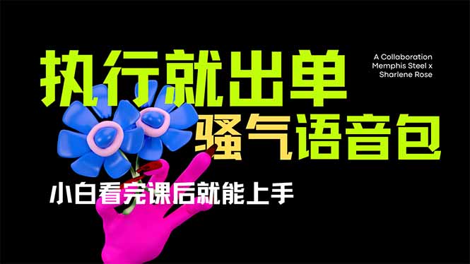 爆火全网的开车导航骚气语音包,只要执行就出单，小白看完课程就能实操…-智宝网创