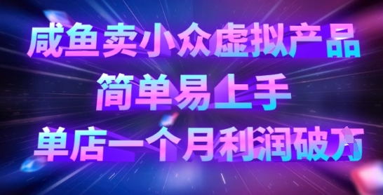 咸鱼卖小众虚拟产品，简单易上手，单店一个月利润破W-智宝网创