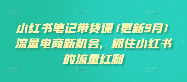 小红书笔记带货课(更新25年3月)流量电商新机会，抓住小红书的流量红利-智宝网创