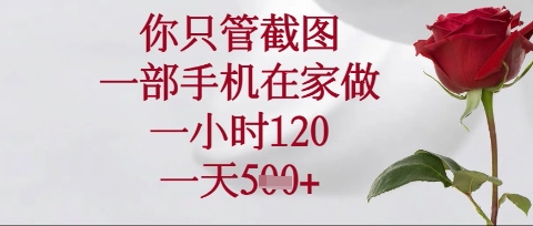 你只管截图，一部手机在家操作，一小时120.一天5张【揭秘】-智宝网创