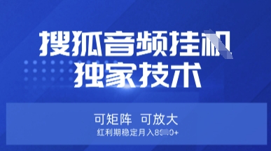 【搜狐音频挂G】独家技术，可矩阵可放大，红利期稳定月入8k【揭秘】-智宝网创