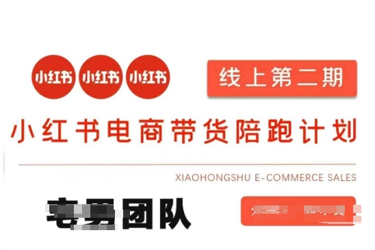 小红书电商带货课2期，月利润20个的小红书电商的有货源，无货源，虚拟产品，付费投流等整套玩法-智宝网创