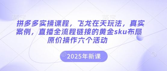 拼多多实操课程，飞龙在天玩法，真实案例，直播全流程链接的黄金sku布局原价操作六个活动-智宝网创