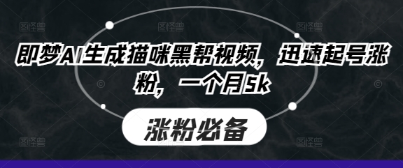 即梦AI生成猫咪黑帮视频，迅速起号涨粉，一个月5k-智宝网创